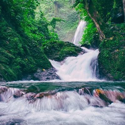 遗落的世界2bt版下载